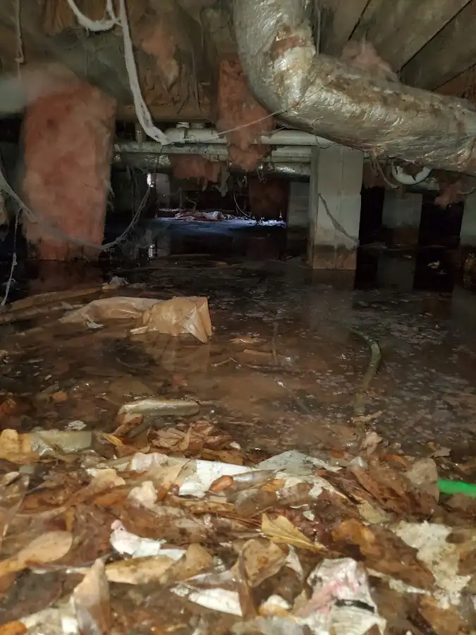 Crawl space flood assessment for Leak Detection & Repair in SeaTac